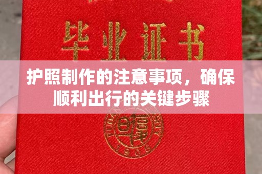 海安护照制作的注意事项，确保顺利出行的关键步骤